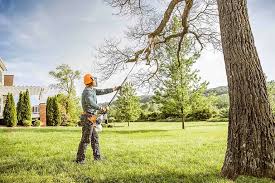 Best Seasonal Cleanup (Spring/Fall)  in Longview, WA